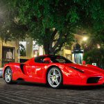 ferrari enzo picture